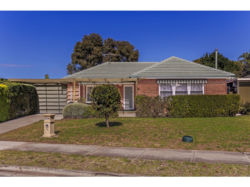 14 Shelley Avenue, Netley SA 5037