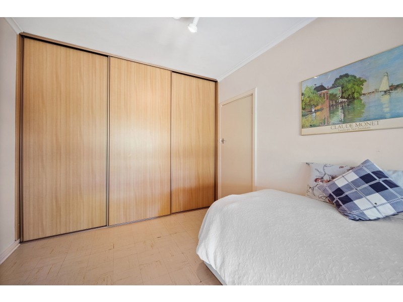 14 Shelley Avenue, Netley SA 5037