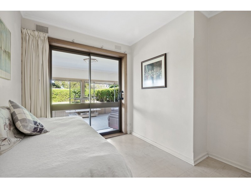 14 Shelley Avenue, Netley SA 5037