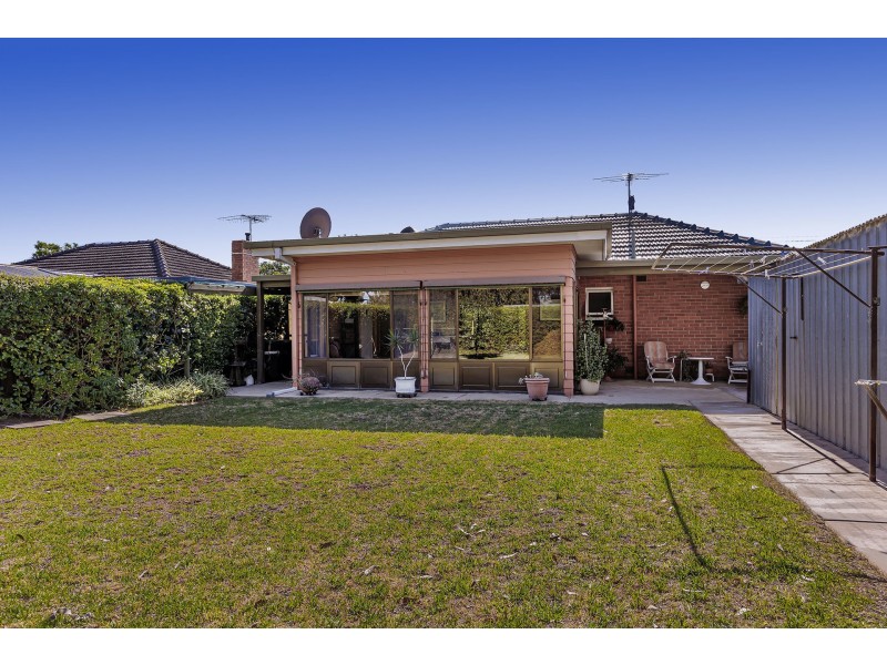 14 Shelley Avenue, Netley SA 5037