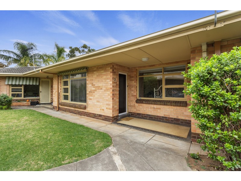3/1 Anglesey Avenue, St Georges SA 5064