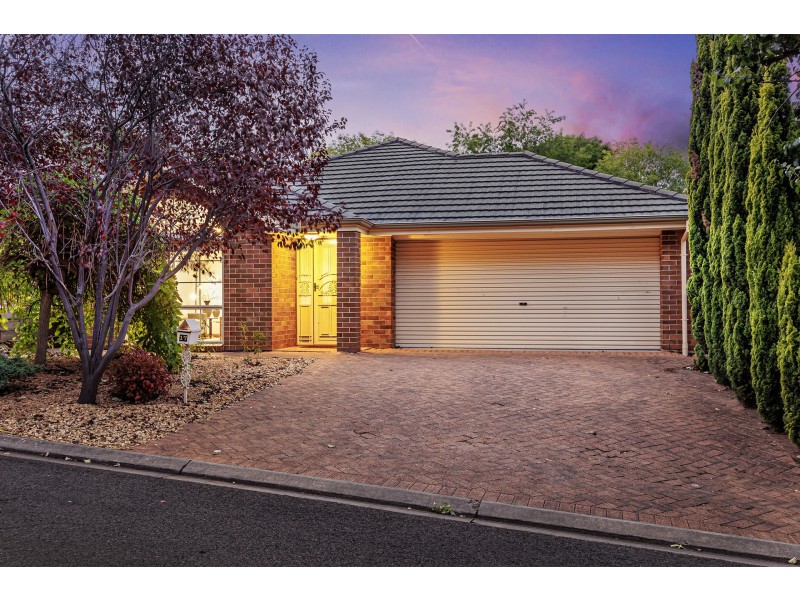 17 Baynes Court, Greenwith SA 5125