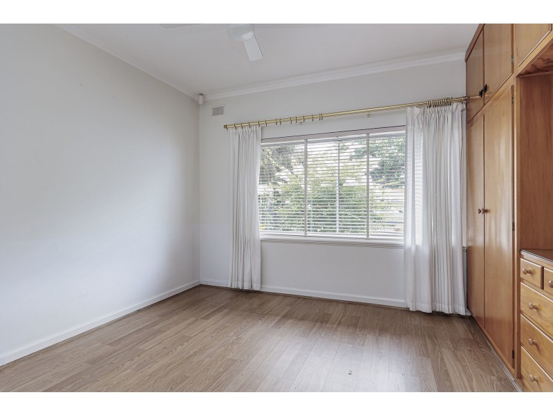 8 Daphne Street, Kurralta Park SA 5037