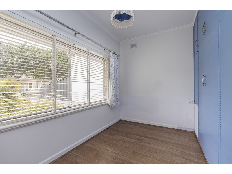 8 Daphne Street, Kurralta Park SA 5037