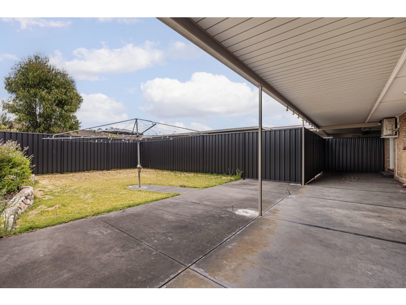 8 Daphne Street, Kurralta Park SA 5037