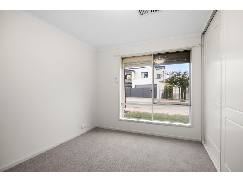 10 Walter Street, Thebarton SA 5031