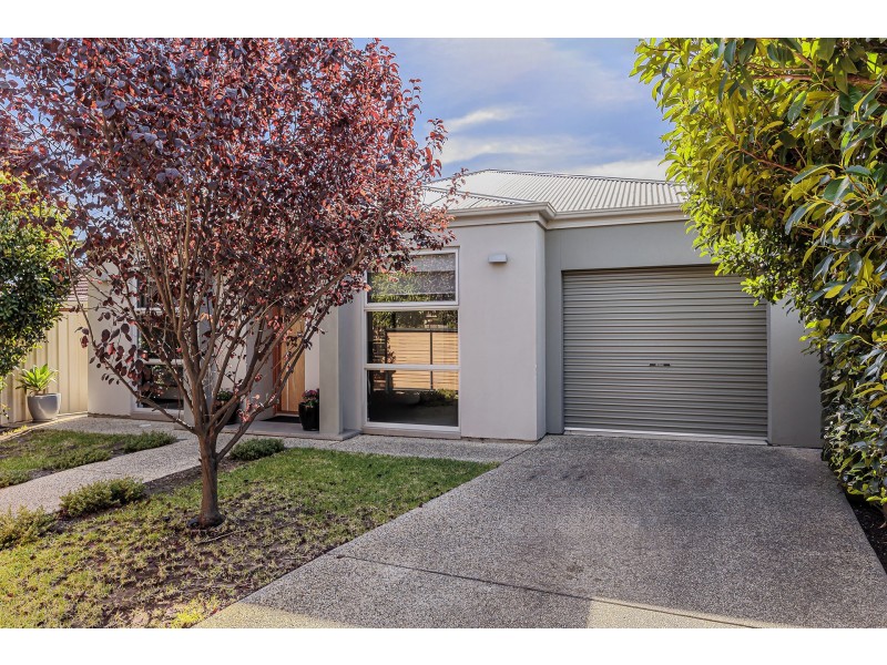 36 Birdwood Terrace, North Plympton SA 5037