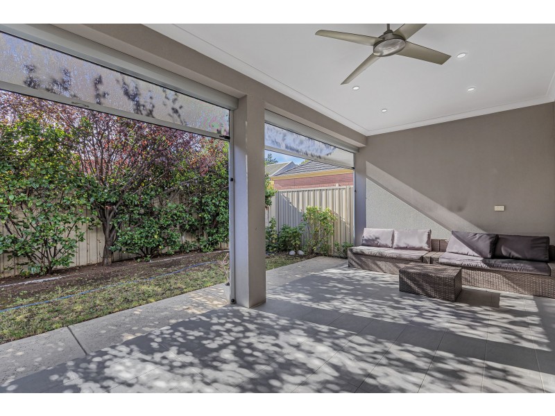 36 Birdwood Terrace, North Plympton SA 5037