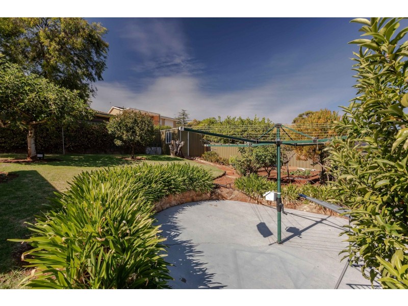 8 Frontignac Avenue, Wattle Park SA 5066