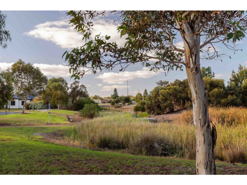 34 Innes Circuit, Mawson Lakes SA 5095