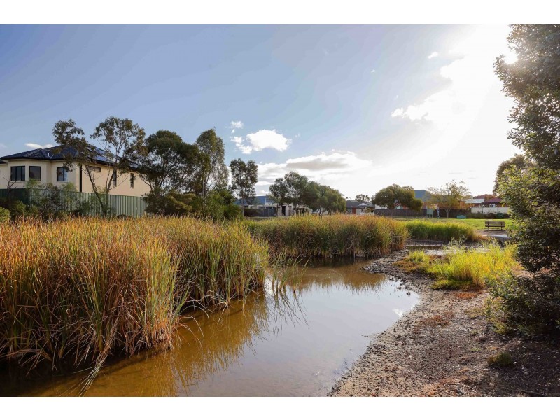 34 Innes Circuit, Mawson Lakes SA 5095