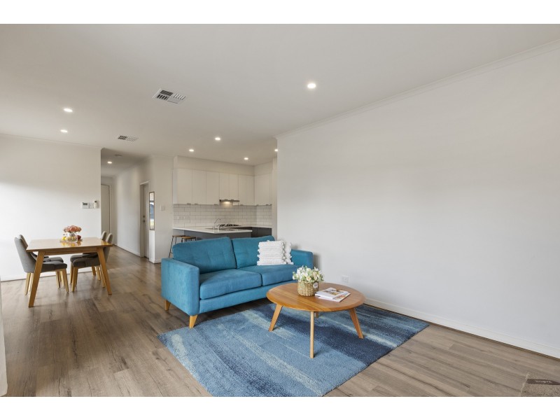 24 Foster Avenue, Paradise SA 5075