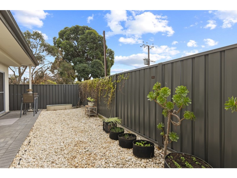 24 Foster Avenue, Paradise SA 5075