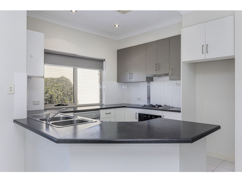 26 Lucas Street, Richmond SA 5033