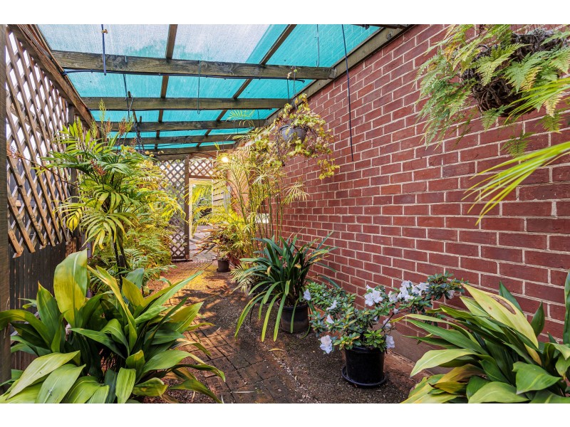 38 Milner Road, Hilton SA 5033