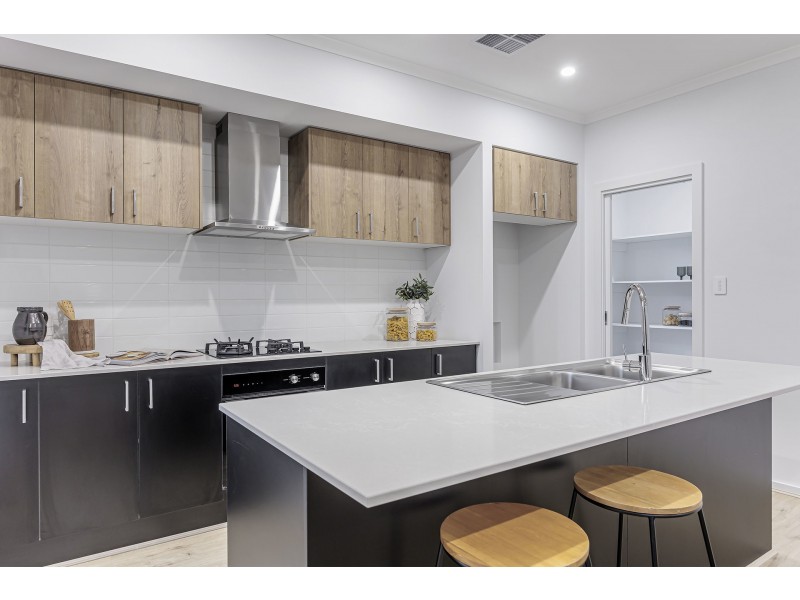 6b Tait Street, Renown Park SA 5008