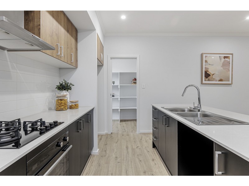 6b Tait Street, Renown Park SA 5008