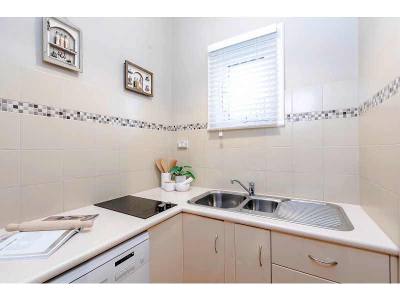 26 Hounslow Avenue, Torrensville SA 5031