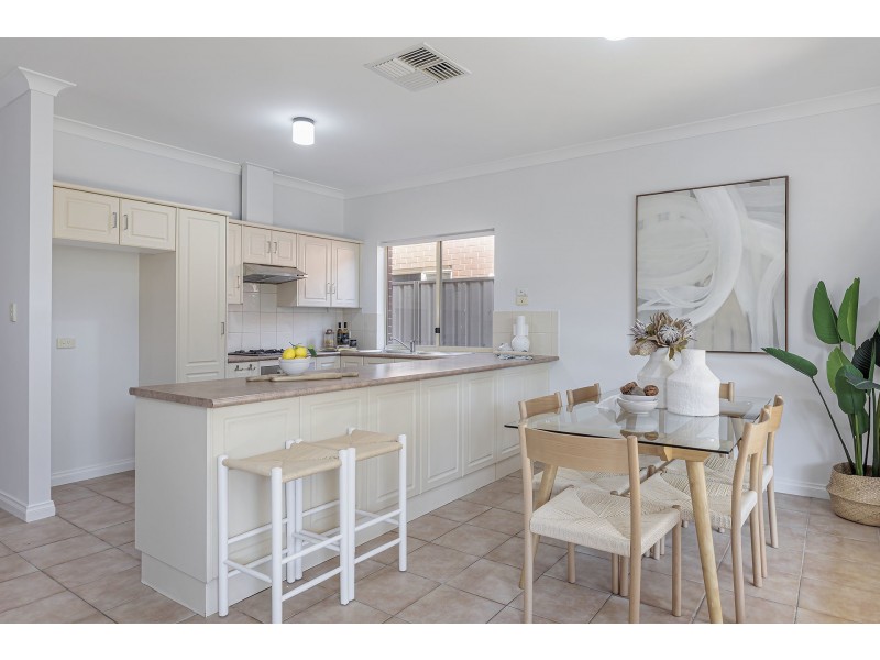 44b White Avenue, Lockleys SA 5032