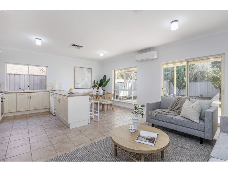 44b White Avenue, Lockleys SA 5032