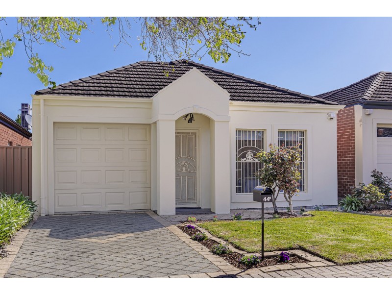 44b White Avenue, Lockleys SA 5032