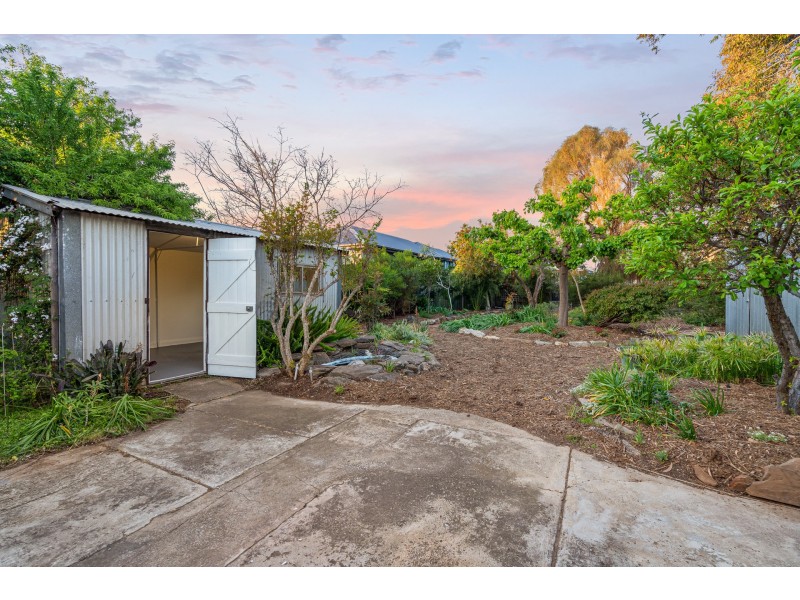 3 Whitney Street, Cheltenham SA 5014