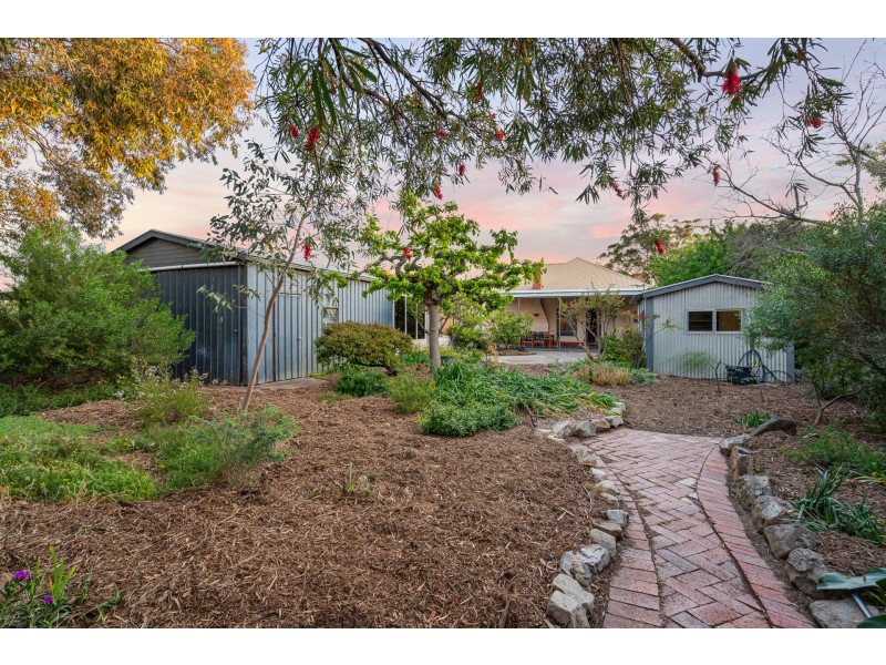 3 Whitney Street, Cheltenham SA 5014