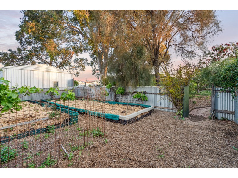 3 Whitney Street, Cheltenham SA 5014