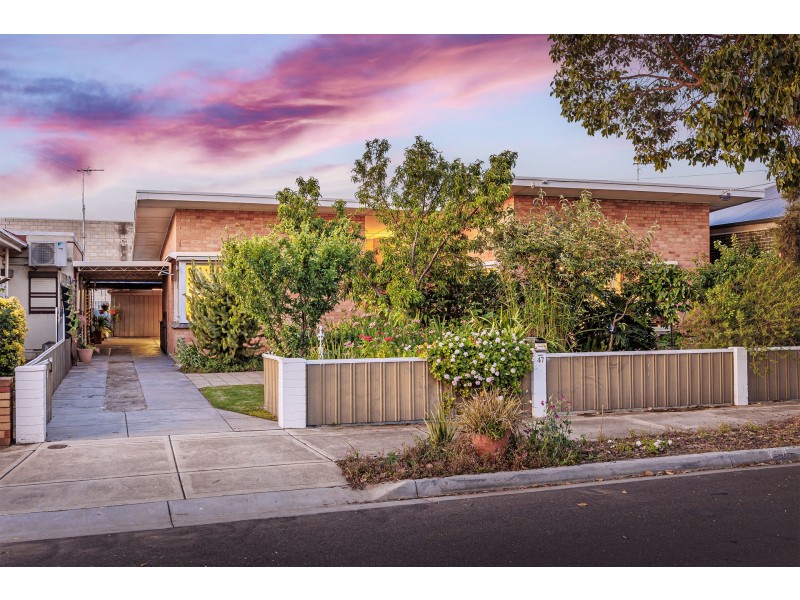 47 Grey Avenue, Welland SA 5007