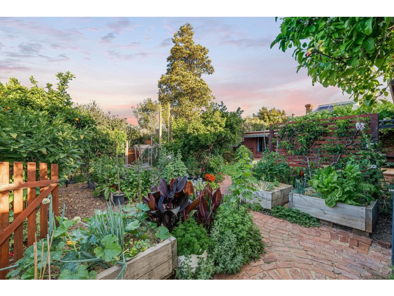 62 Darebin Street, Mile End SA 5031