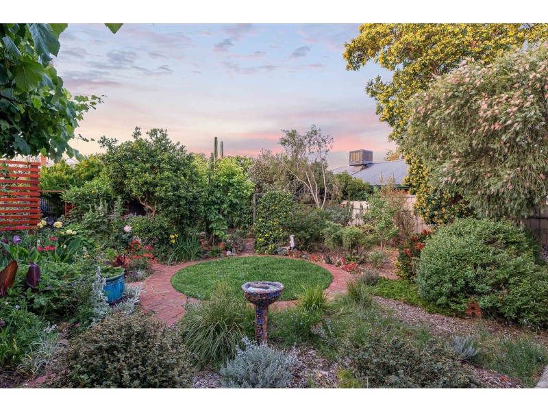 62 Darebin Street, Mile End SA 5031