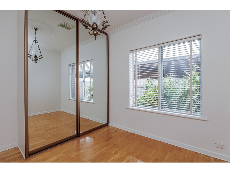 39 White Avenue, Lockleys SA 5032