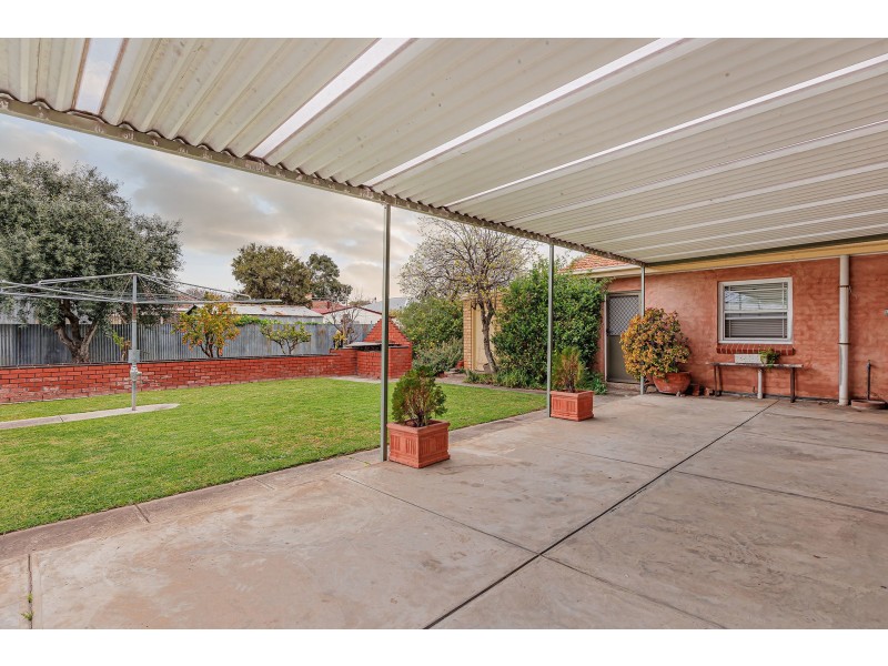 39 White Avenue, Lockleys SA 5032