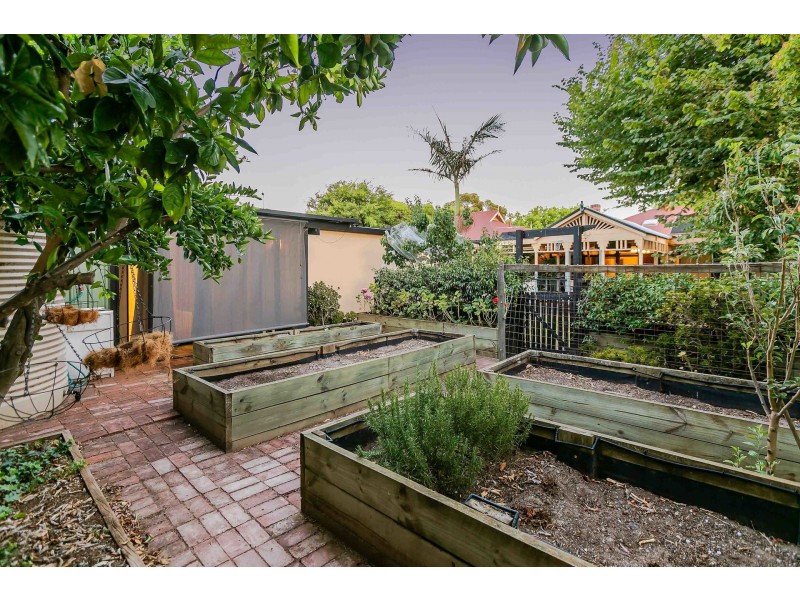 61 Meyer Street, Torrensville SA 5031