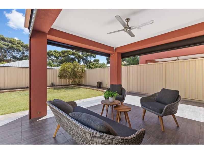 8 St Johns Avenue, Renown Park SA 5008