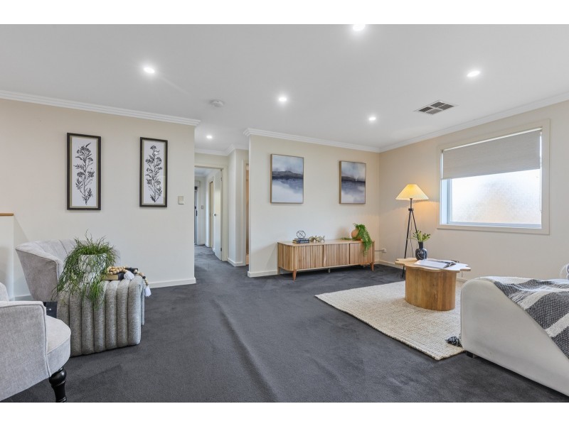 8 St Johns Avenue, Renown Park SA 5008