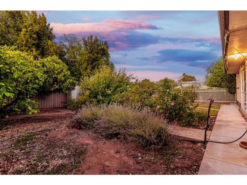 8 Oscar Street, Brooklyn Park SA 5032