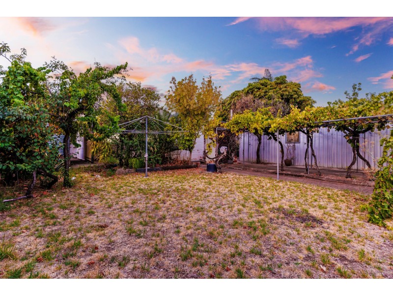 53 Lurline Street, Mile End SA 5031