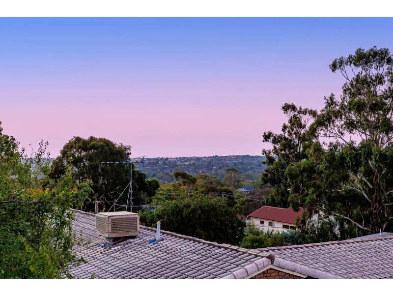 29 Wattle Crescent, Tea Tree Gully SA 5091