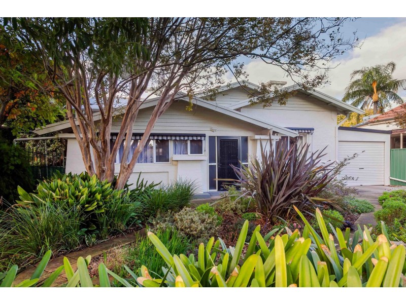 16 Salop Street, Beulah Park SA 5067