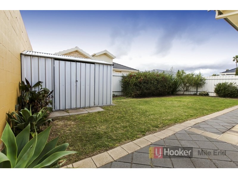 53 Dumfries Avenue, Seaton SA 5023