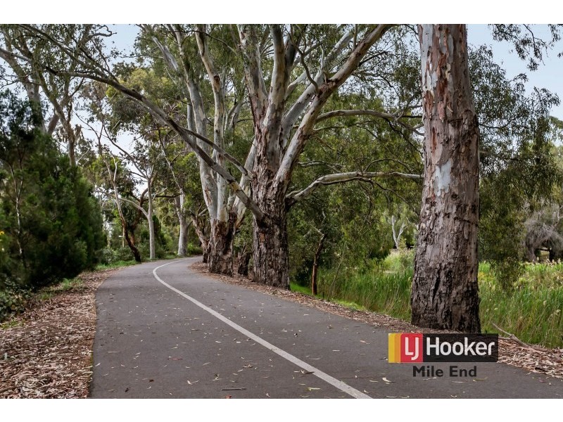 21 Durham Avenue, Lockleys SA 5032