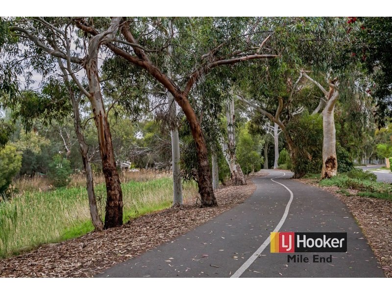 21 Durham Avenue, Lockleys SA 5032