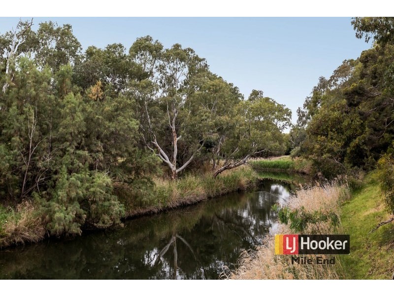 21 Durham Avenue, Lockleys SA 5032