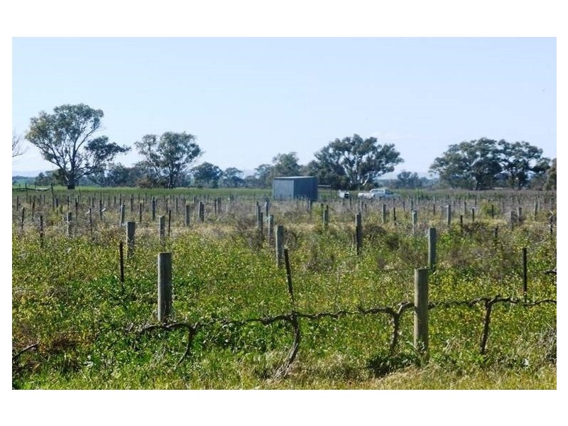 40 Branch Hill Road, Bowmans SA 5550