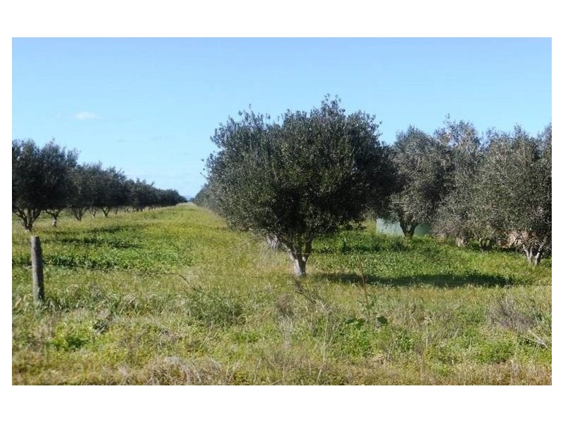 40 Branch Hill Road, Bowmans SA 5550