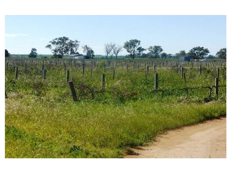 40 Branch Hill Road, Bowmans SA 5550