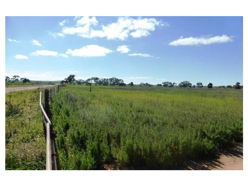 40 Branch Hill Road, Bowmans SA 5550