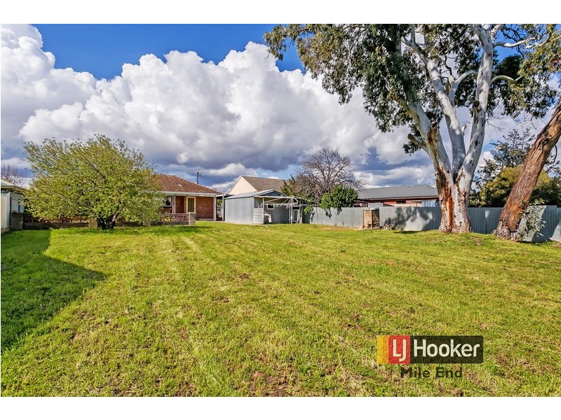 14 Allambee Avenue, Edwardstown SA 5039