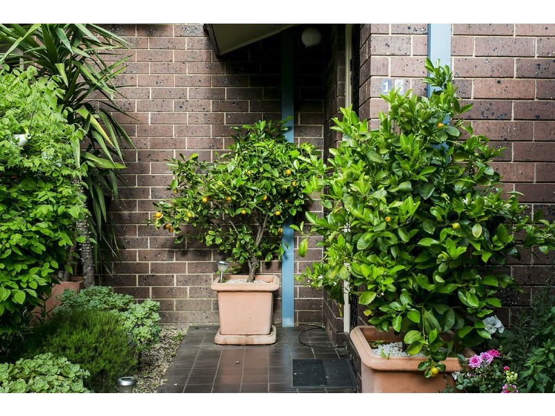 16/2 Rowells Road, Lockleys SA 5032
